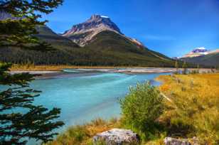 North Saskatchewan River and Mt. Amery, Banff-4281 North Saskatchewan River and Mt. Amery, Banff-4281